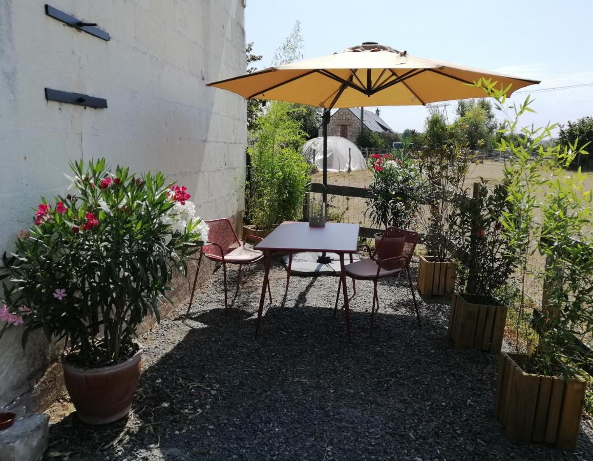Bel Appt 3 Pieces, A L'Etage, Jardin Privatif, Au Calme, 10 Mn Saumur Et Cnpe Varennes-sur-Loire Buitenkant foto